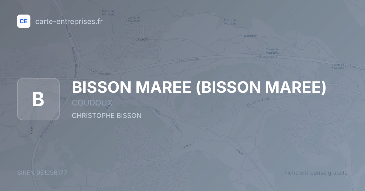 BISSON MAREE — 951296177 — fiche entreprise