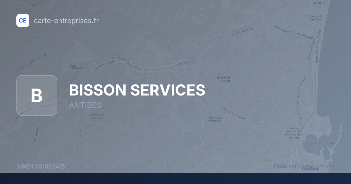 BISSON SERVICES — 501062418 — fiche entreprise