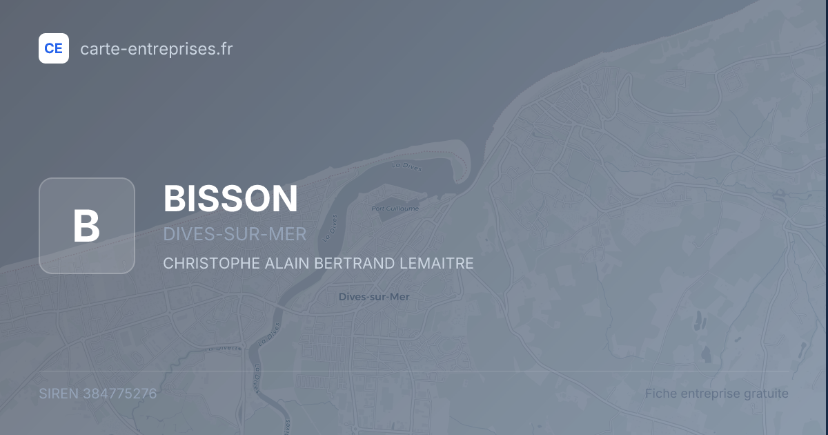 BISSON — 384775276 — fiche entreprise
