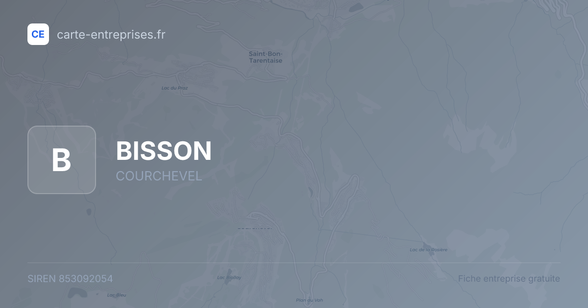 BISSON — 853092054 — fiche entreprise