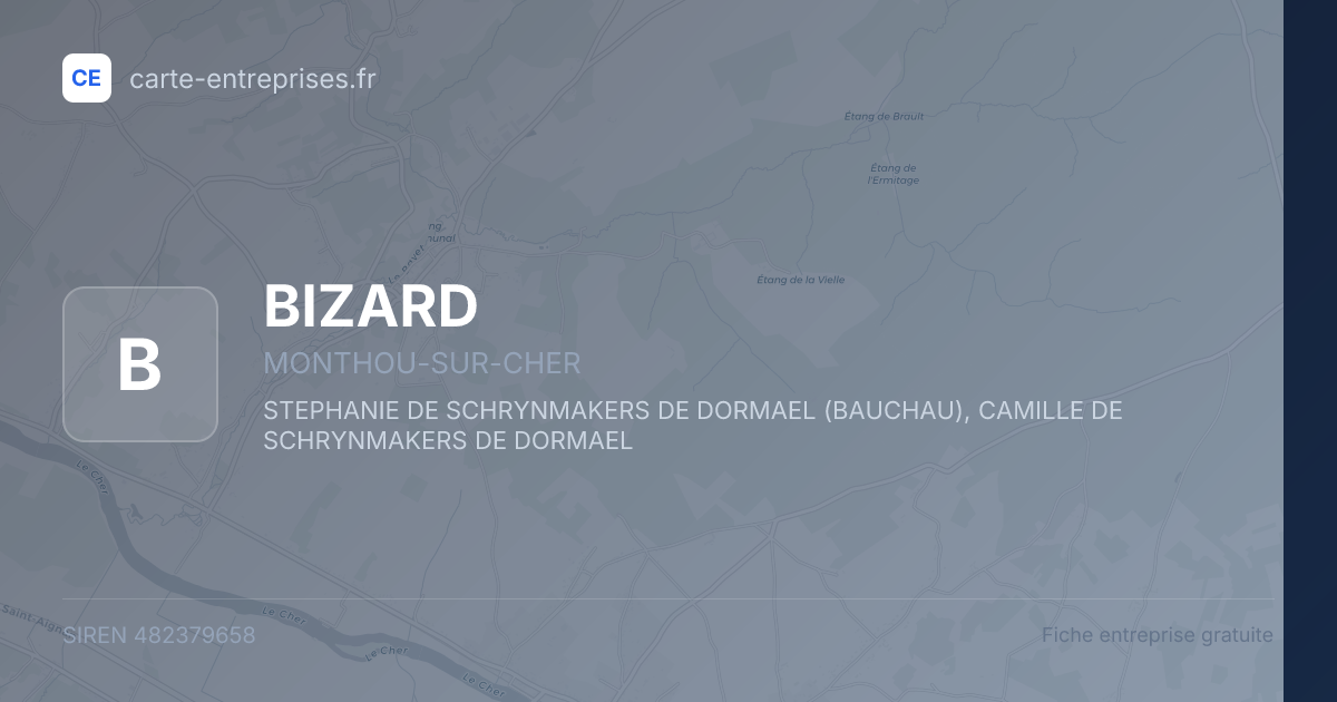 BIZARD — 482379658 — fiche entreprise