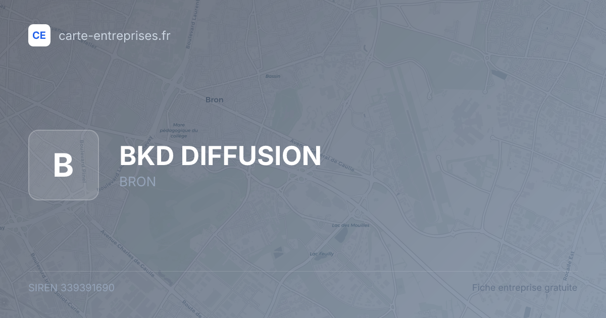 BKD DIFFUSION — 339391690 — fiche entreprise
