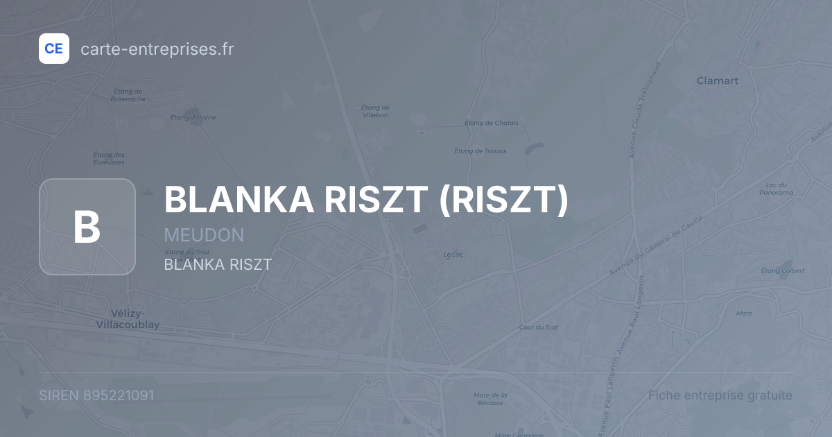 BLANKA RISZT (RISZT) — 895221091 — fiche entreprise
