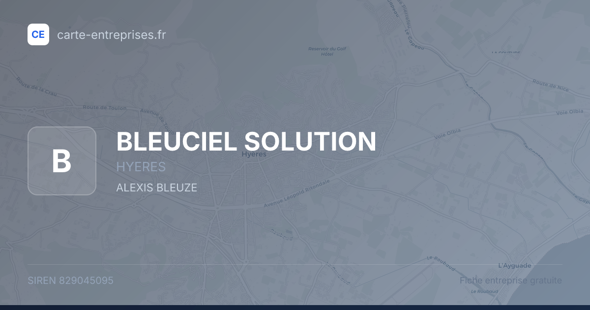 BLEUCIEL SOLUTION — 829045095 — fiche entreprise