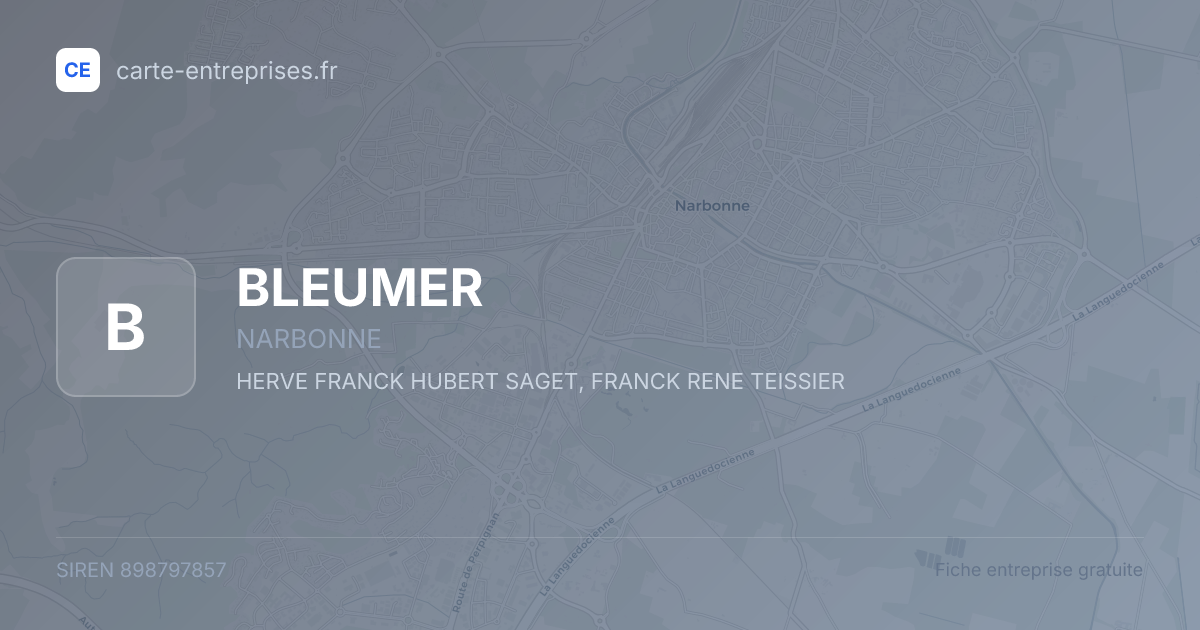 BLEUMER — 898797857 — fiche entreprise