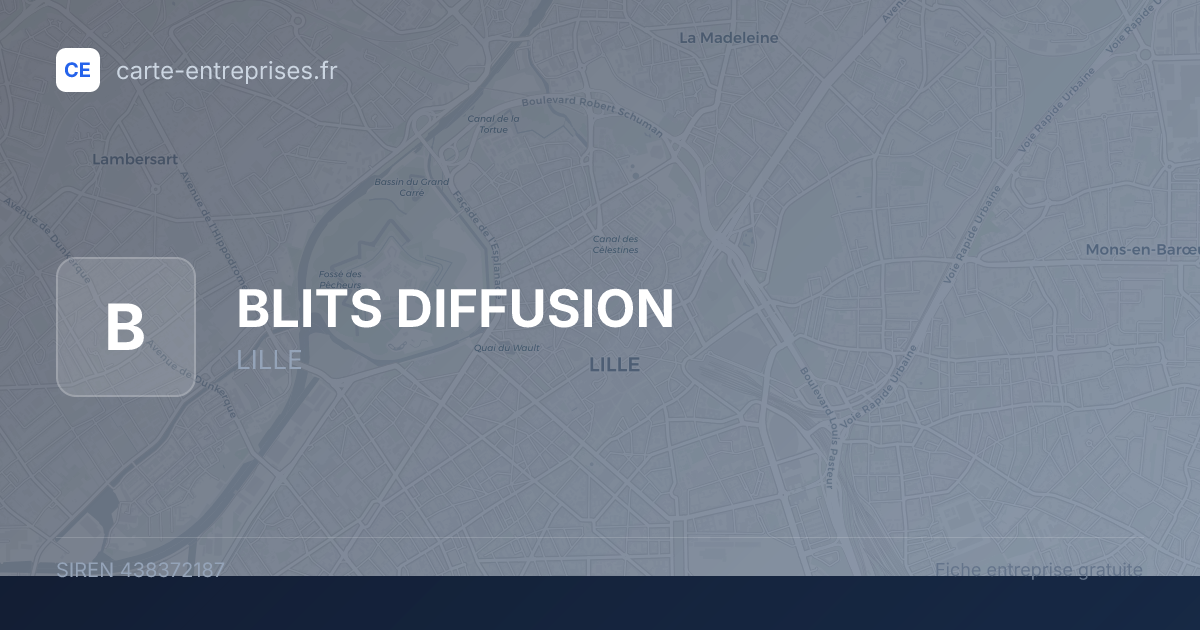 BLITS DIFFUSION — 438372187 — fiche entreprise