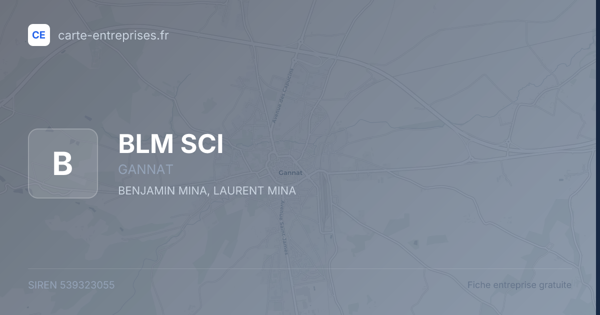 BLM SCI — 539323055 — fiche entreprise