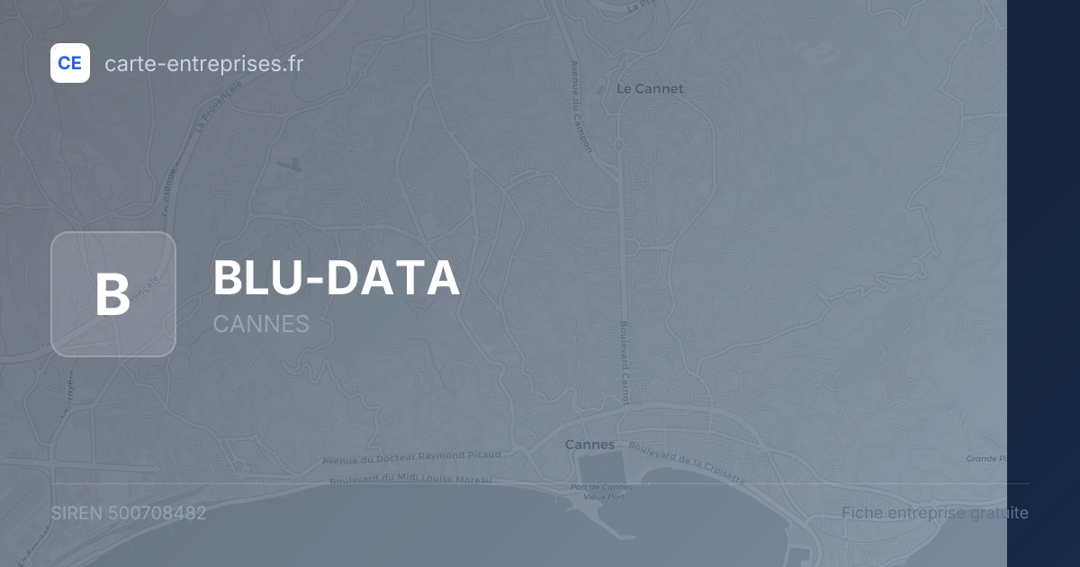 BLU-DATA — 500708482 — fiche entreprise