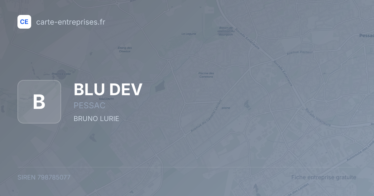 BLU DEV — 798785077 — fiche entreprise