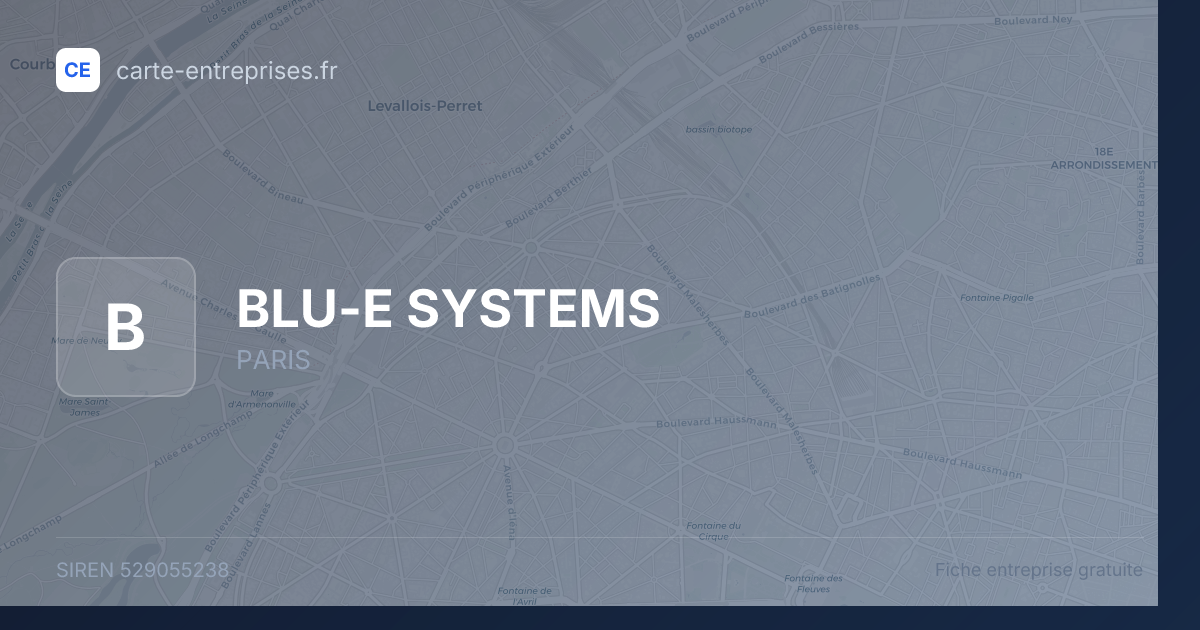 BLU-E SYSTEMS — 529055238 — fiche entreprise