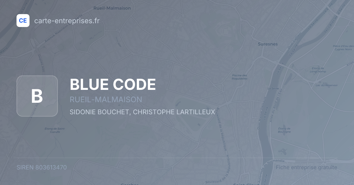 BLUE CODE — 803613470 — fiche entreprise