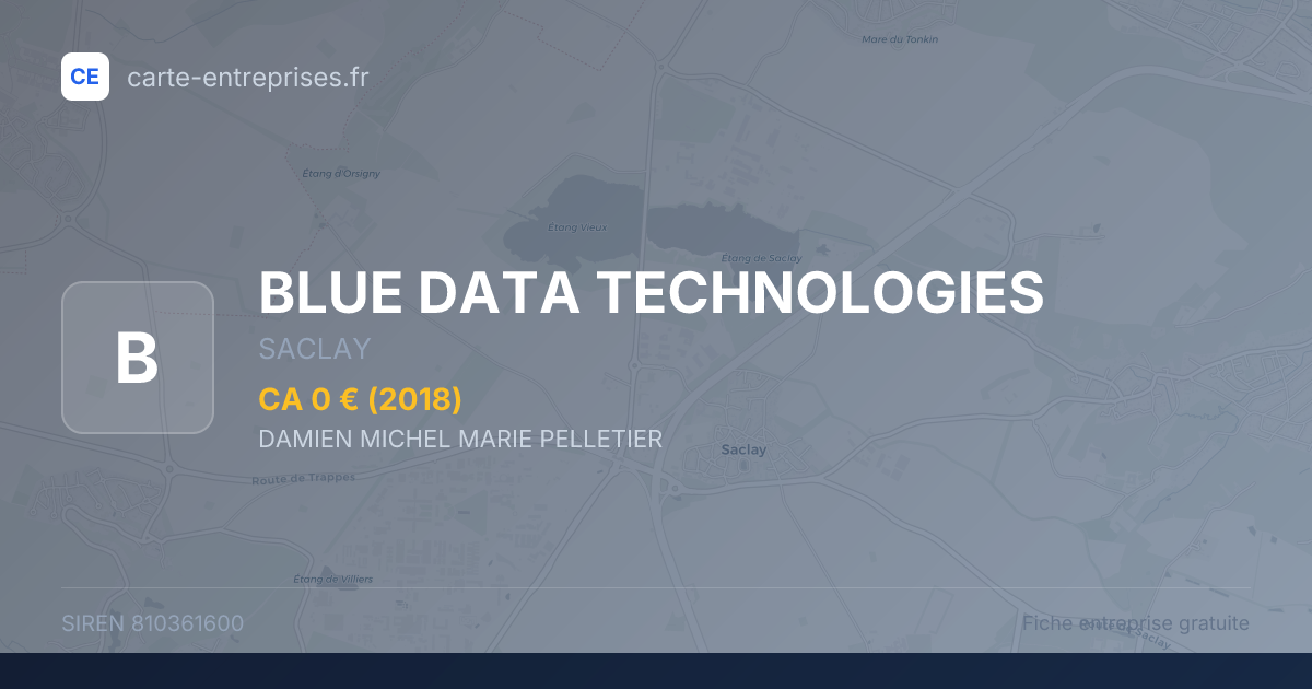 BLUE DATA TECHNOLOGIES — 810361600 — fiche entreprise