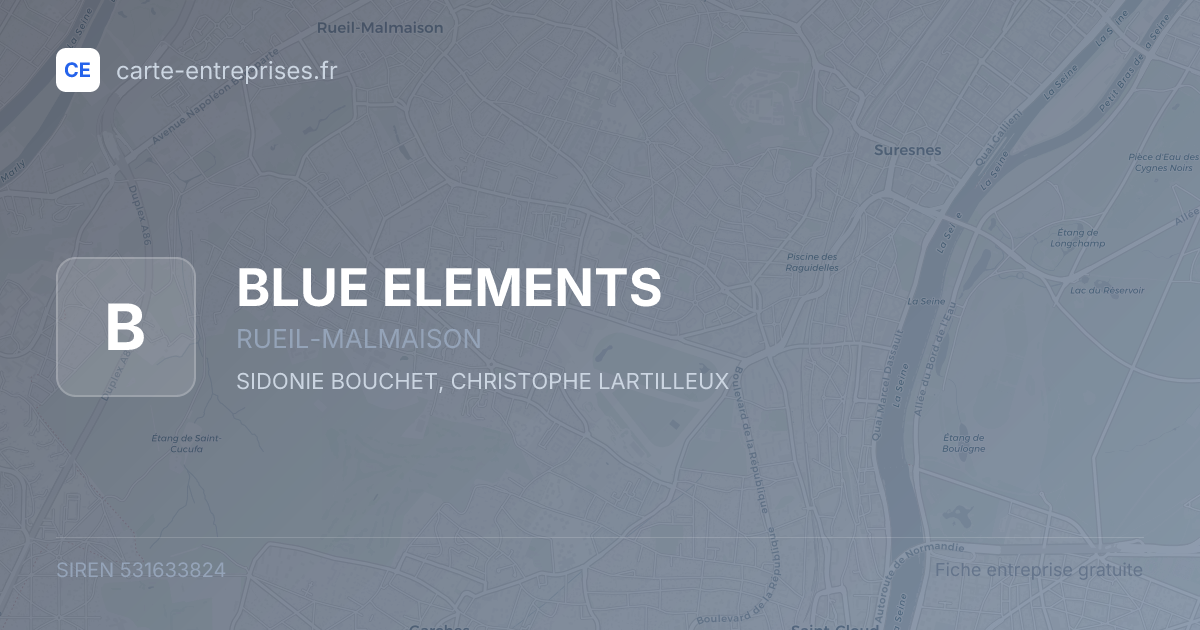 BLUE ELEMENTS — 531633824 — fiche entreprise