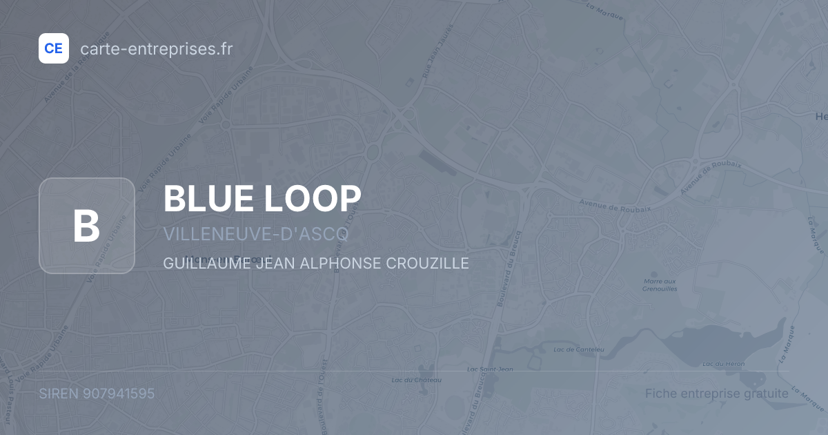 BLUE LOOP — 907941595 — fiche entreprise