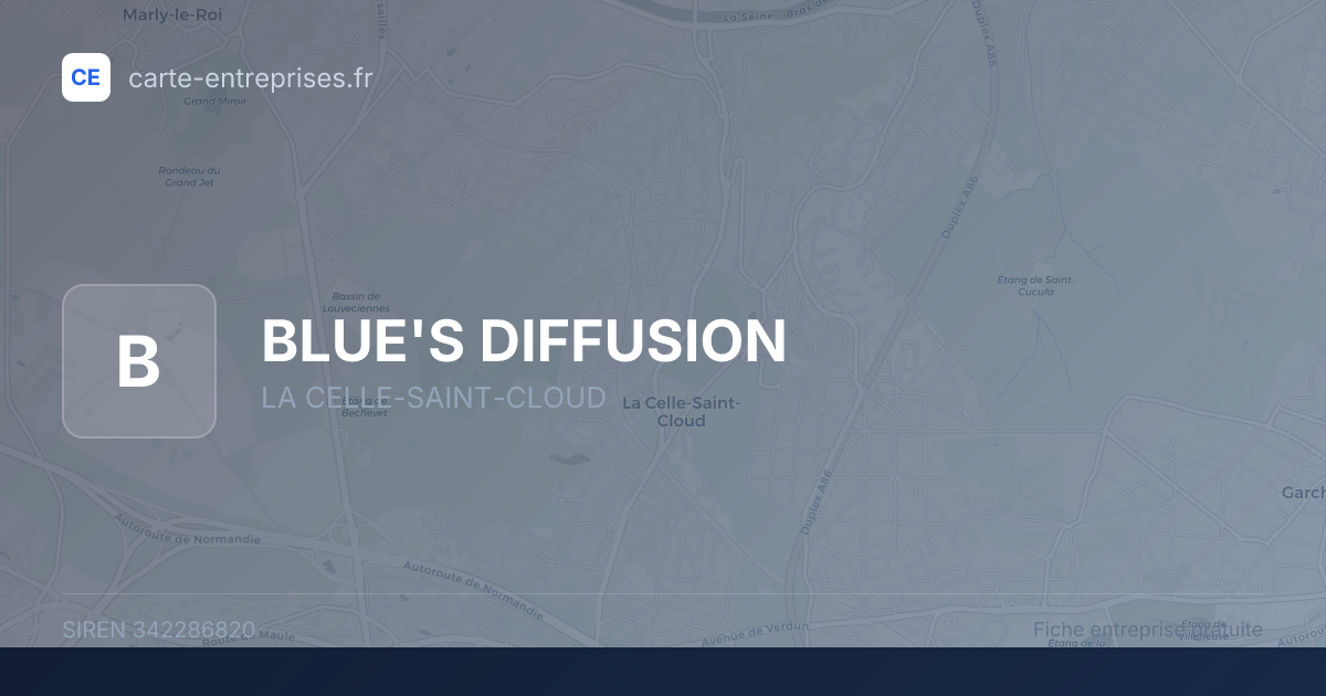 BLUE'S DIFFUSION — 342286820 — fiche entreprise