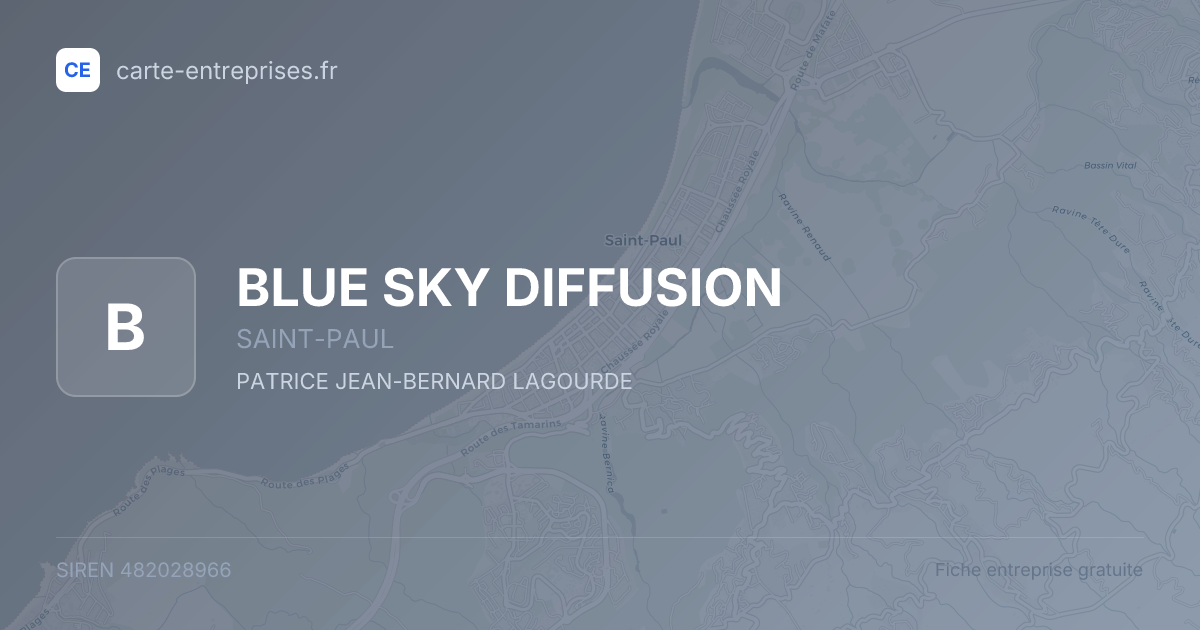 BLUE SKY DIFFUSION — 482028966 — fiche entreprise