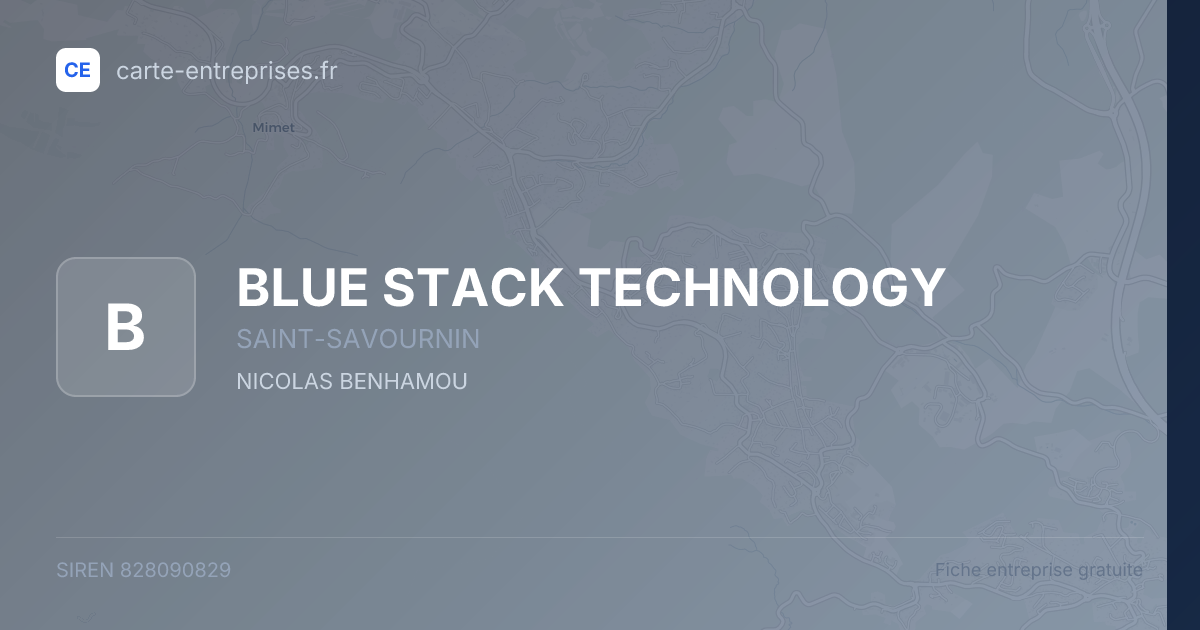 BLUE STACK TECHNOLOGY — 828090829 — fiche entreprise
