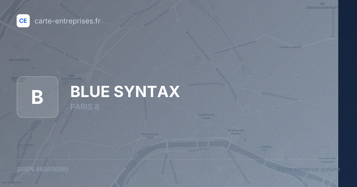 BLUE SYNTAX — 482606985 — fiche entreprise