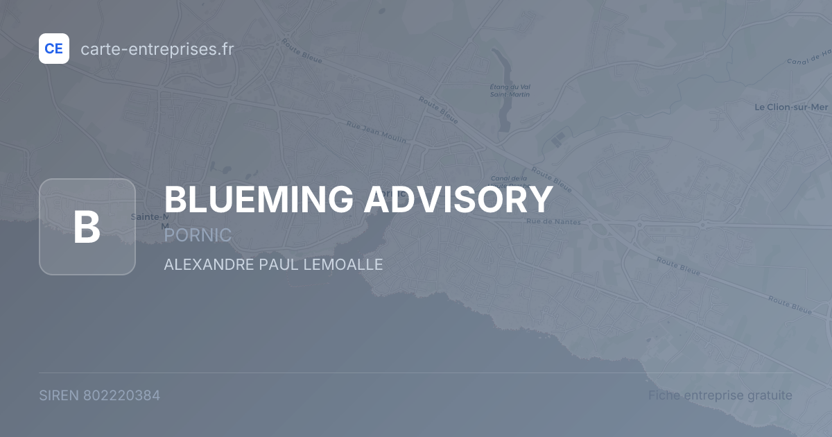 BLUEMING ADVISORY — 802220384 — fiche entreprise