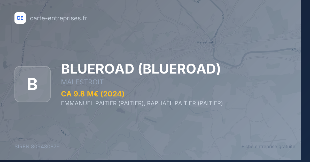 BLUEROAD — 809430879 — fiche entreprise