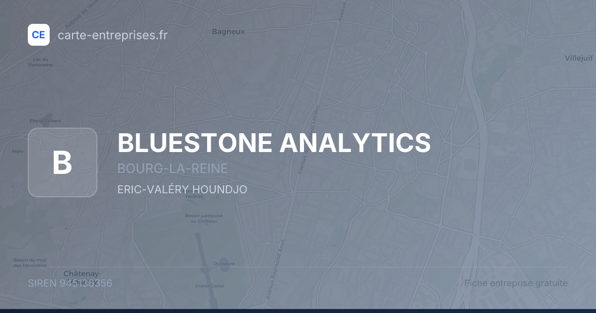 BLUESTONE ANALYTICS — 945136356 — fiche entreprise