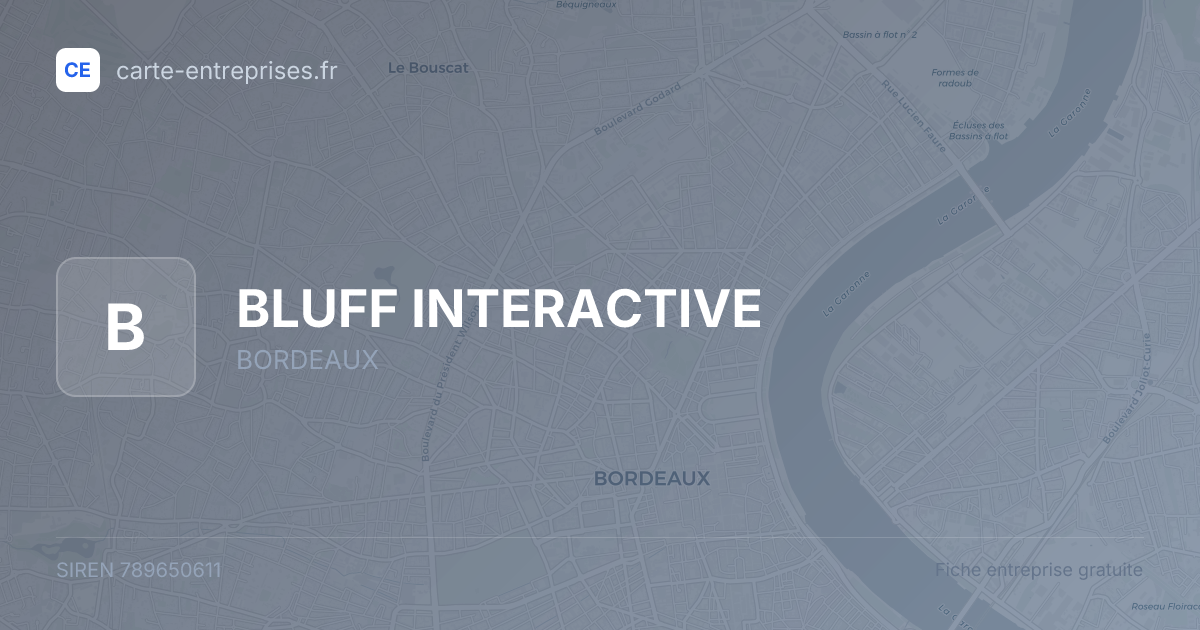 BLUFF INTERACTIVE — 789650611 — fiche entreprise