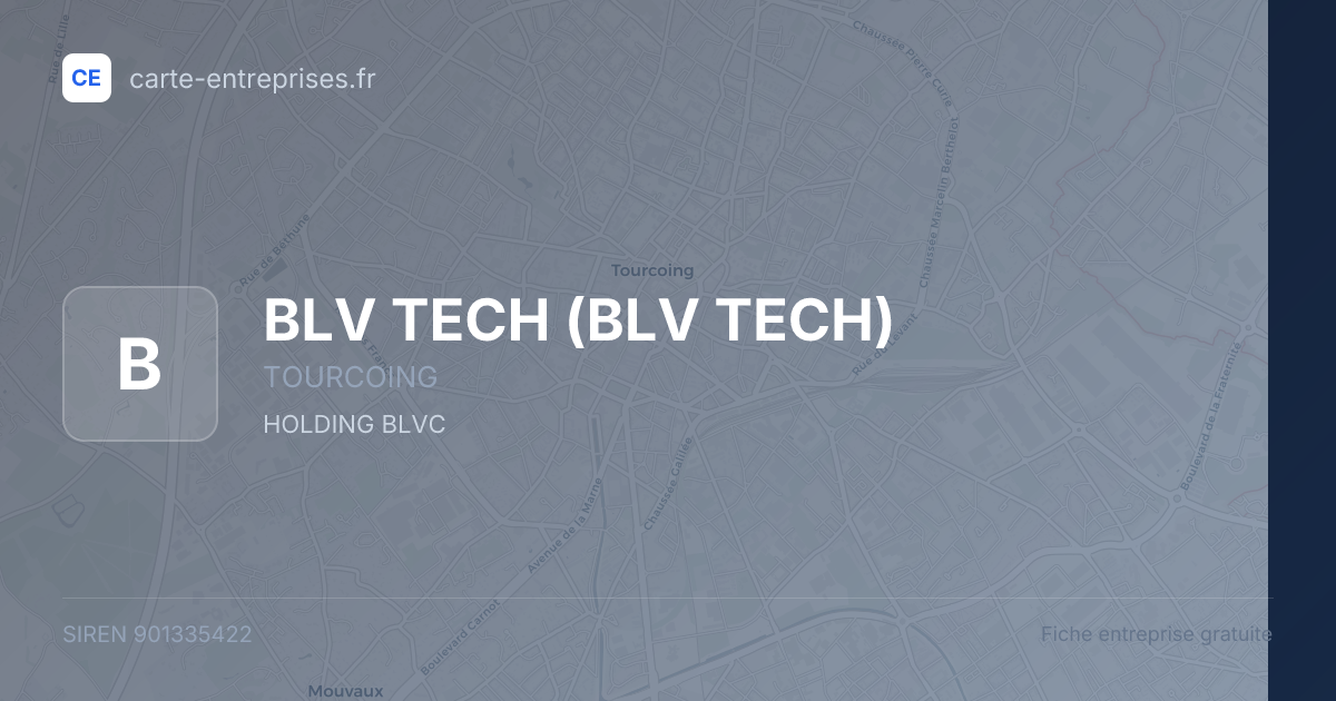 BLV TECH — 901335422 — fiche entreprise
