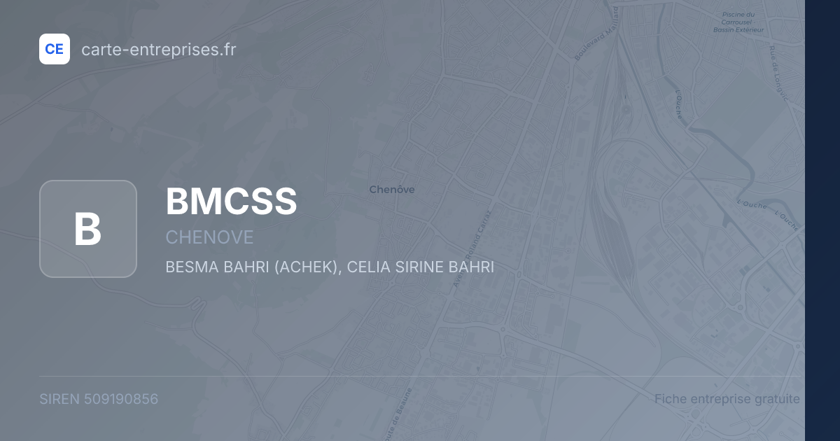 BMCSS — 509190856 — fiche entreprise