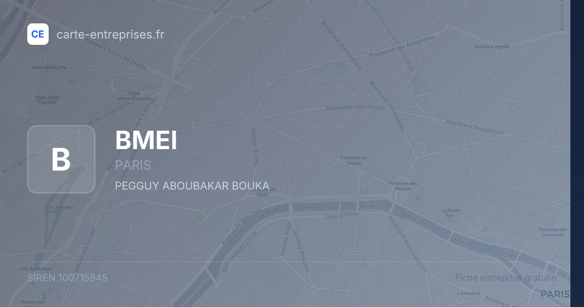 BMEI — 100715945 — fiche entreprise