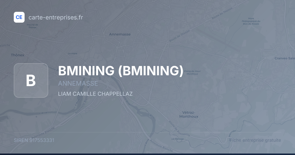 BMINING — 917553331 — fiche entreprise