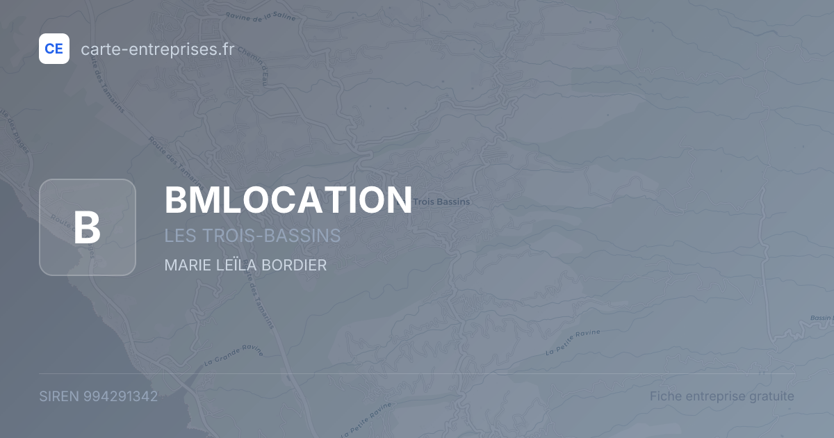 BMLOCATION — 994291342 — fiche entreprise