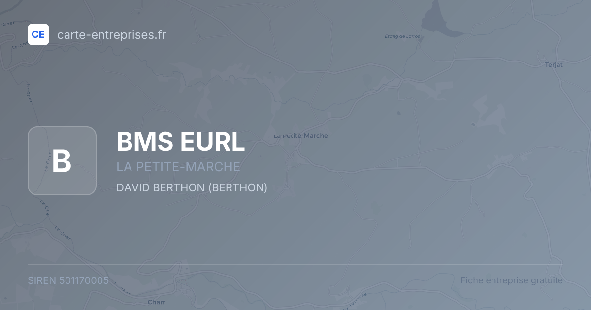BMS EURL — 501170005 — fiche entreprise