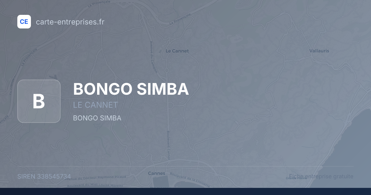 BONGO SIMBA — 338545734 — fiche entreprise