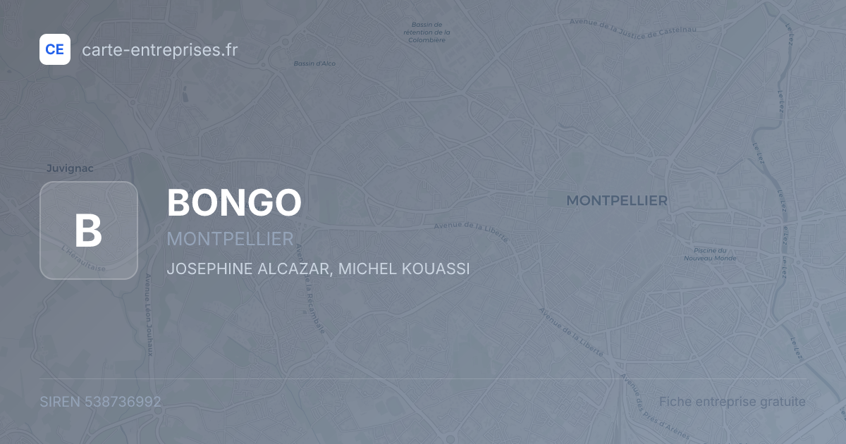 BONGO — 538736992 — fiche entreprise