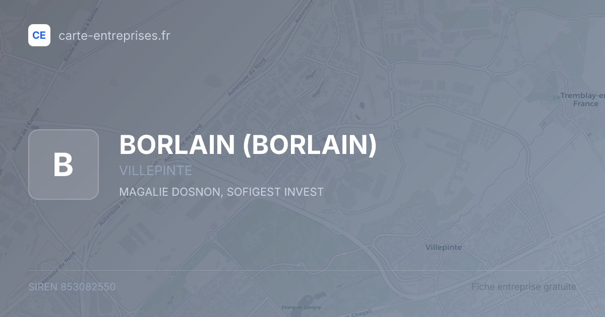 BORLAIN — 853082550 — fiche entreprise