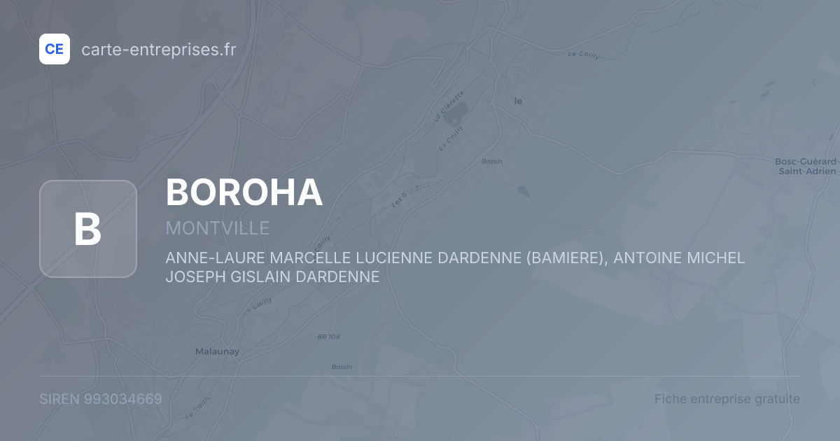 BOROHA — 993034669 — fiche entreprise