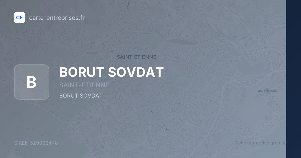 BORUT SOVDAT — 529992448 — fiche entreprise