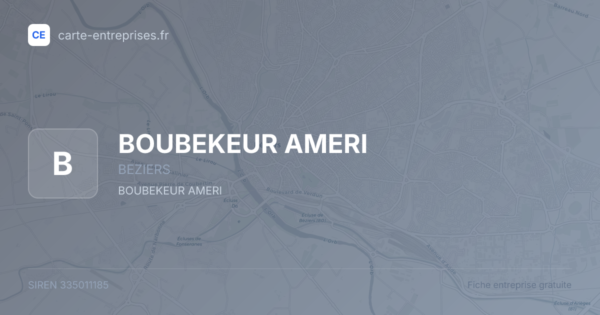 BOUBEKEUR AMERI — 335011185 — fiche entreprise