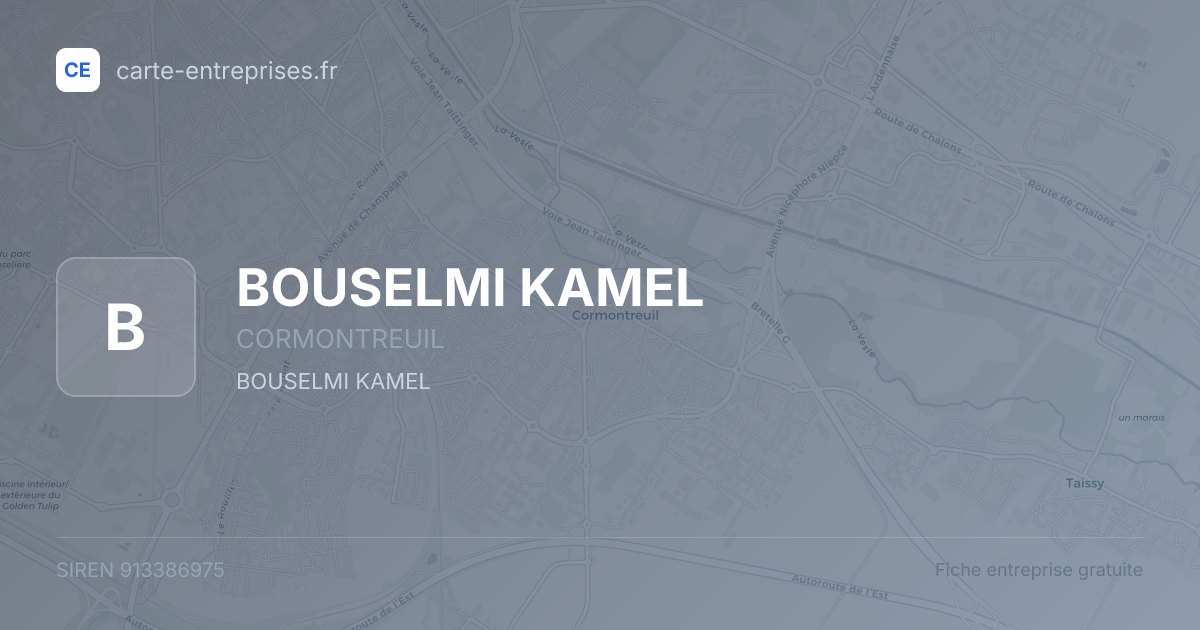 BOUSELMI KAMEL — 913386975 — fiche entreprise