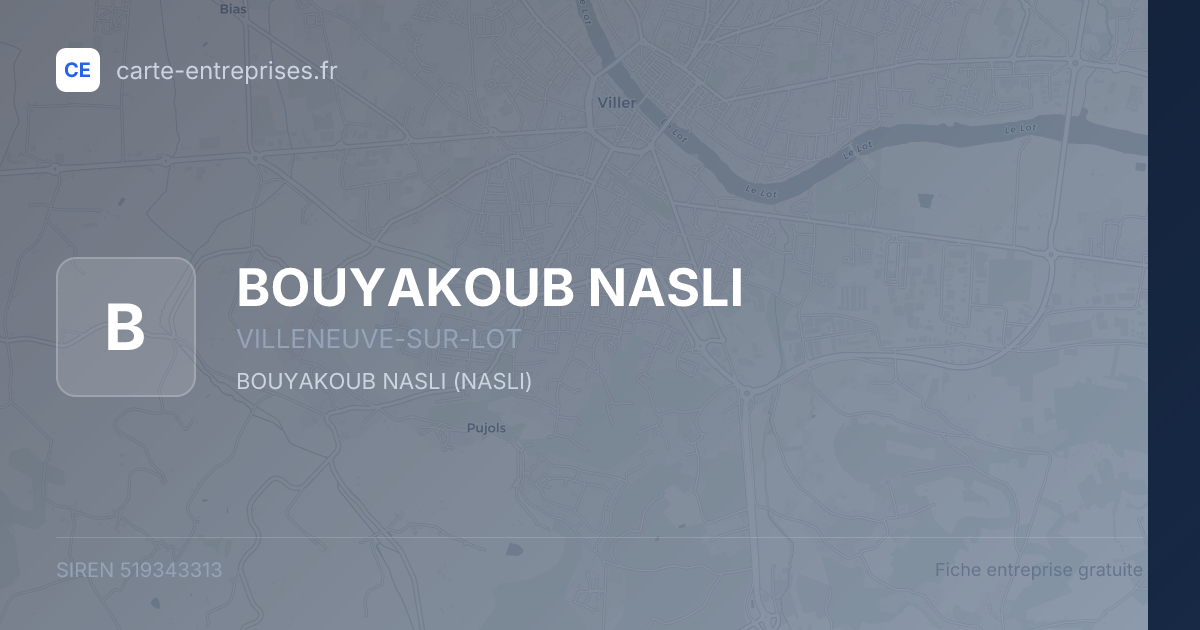 BOUYAKOUB NASLI — 519343313 — fiche entreprise