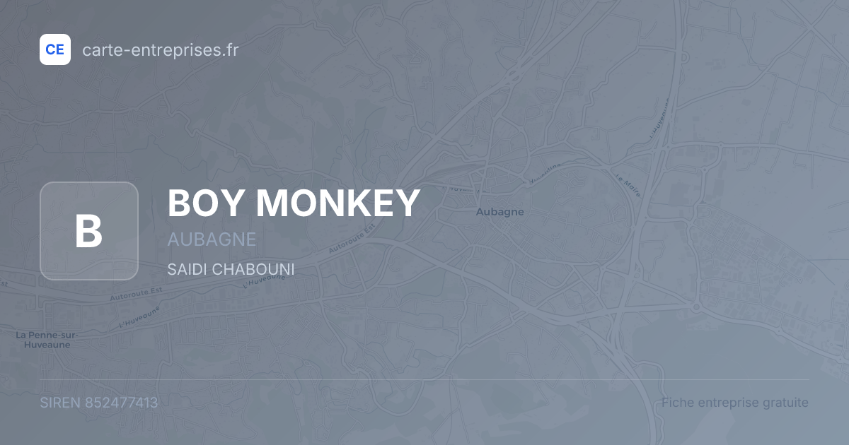 BOY MONKEY — 852477413 — fiche entreprise