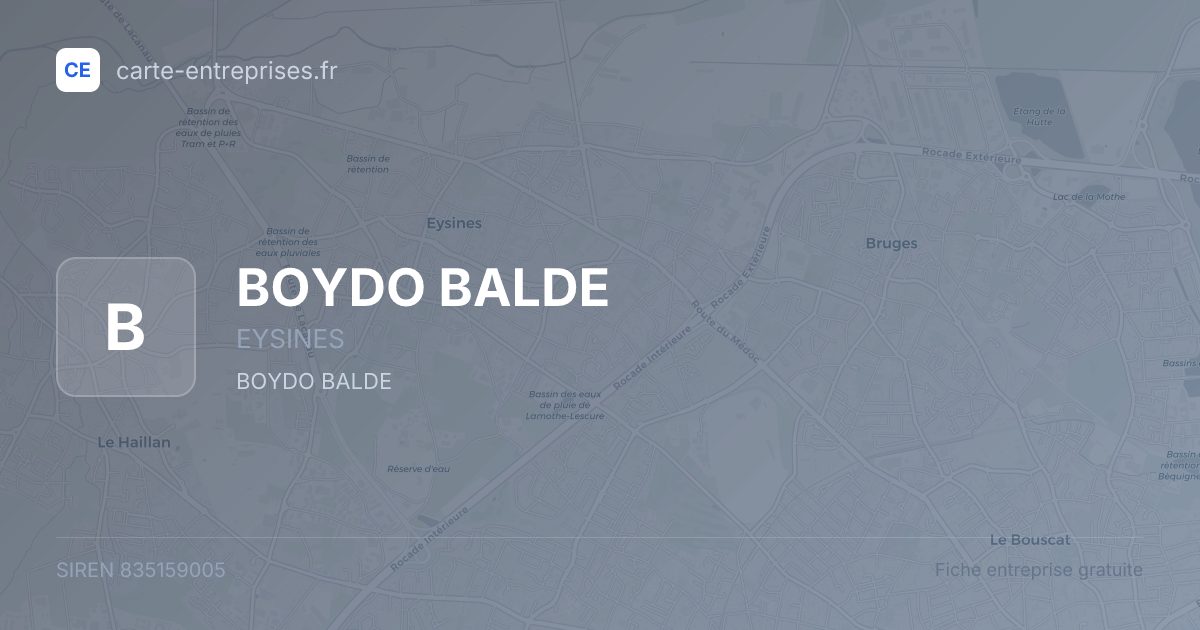 BOYDO BALDE — 835159005 — fiche entreprise