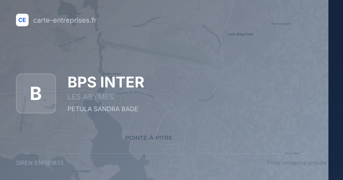 BPS INTER — 514591833 — fiche entreprise