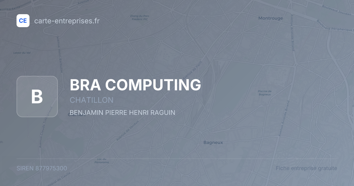 BRA COMPUTING — 877975300 — fiche entreprise
