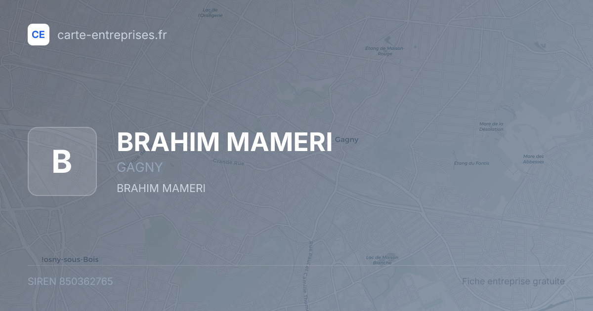 BRAHIM MAMERI — 850362765 — fiche entreprise