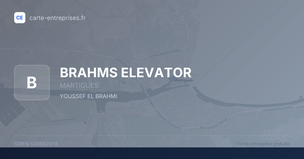 BRAHMS ELEVATOR — 538882978 — fiche entreprise