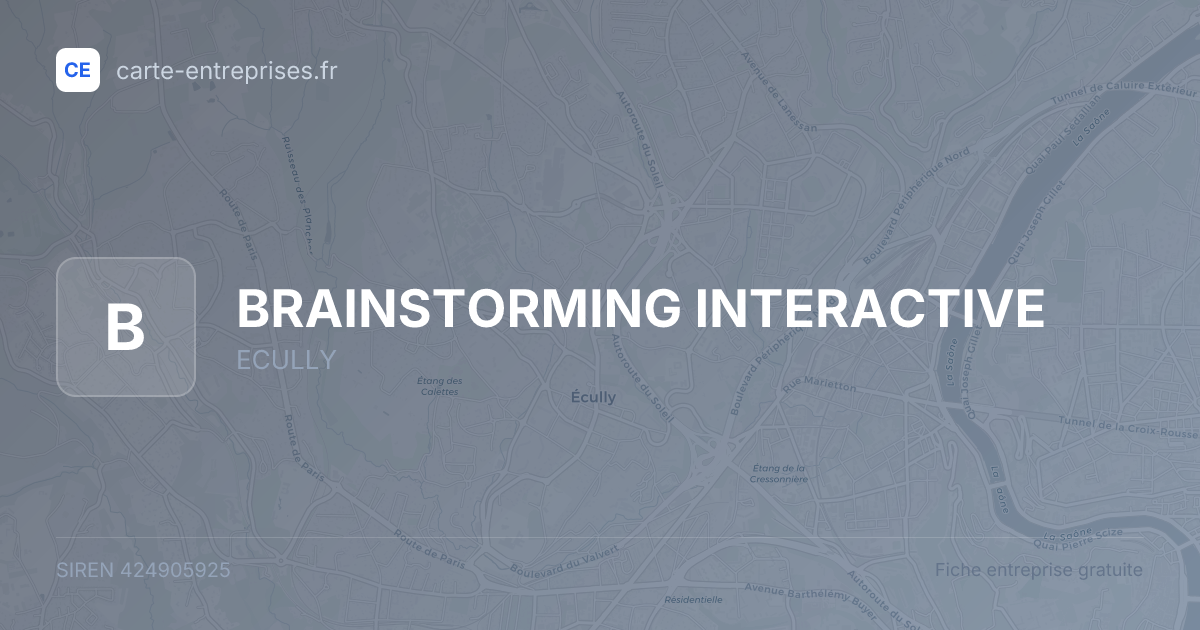 BRAINSTORMING INTERACTIVE — 424905925 — fiche entreprise