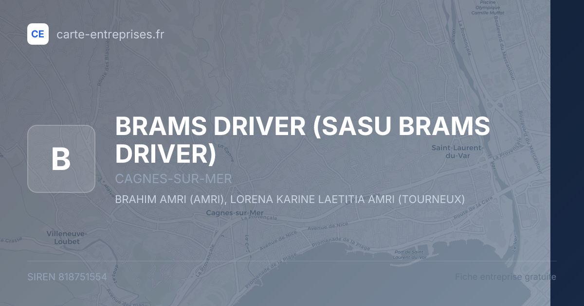 BRAMS DRIVER (SASU BRAMS DRIVER) — 818751554 — fiche entreprise