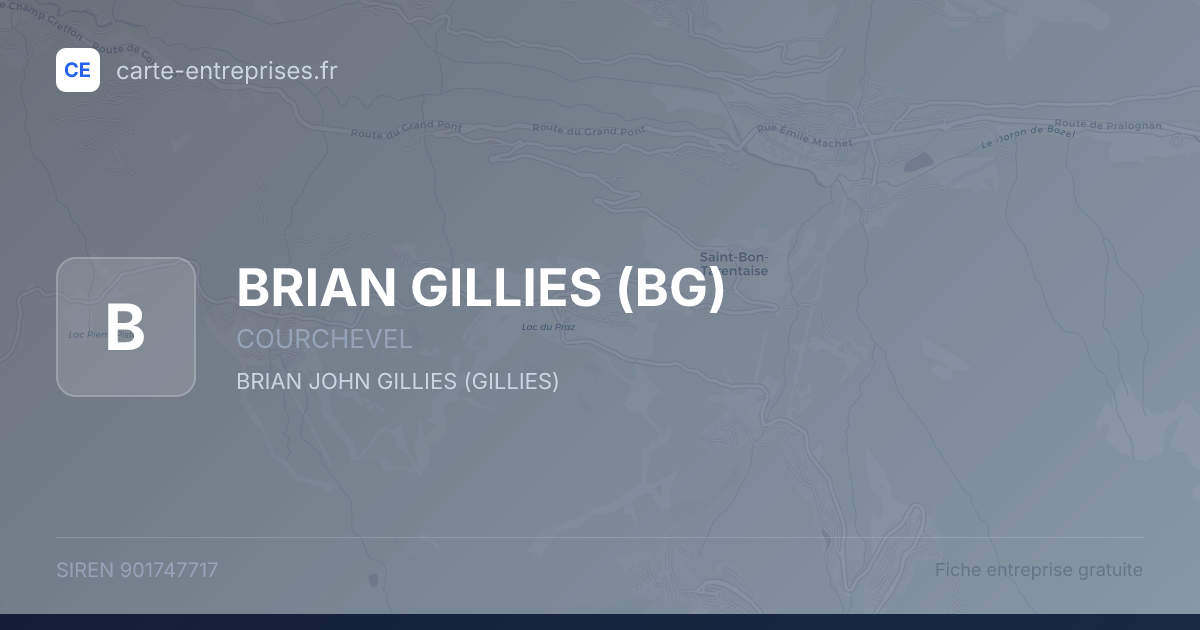BRIAN GILLIES (BG) — 901747717 — fiche entreprise