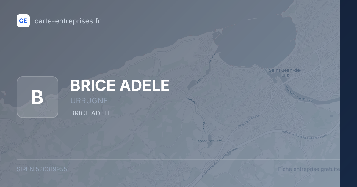 BRICE ADELE — 520319955 — fiche entreprise